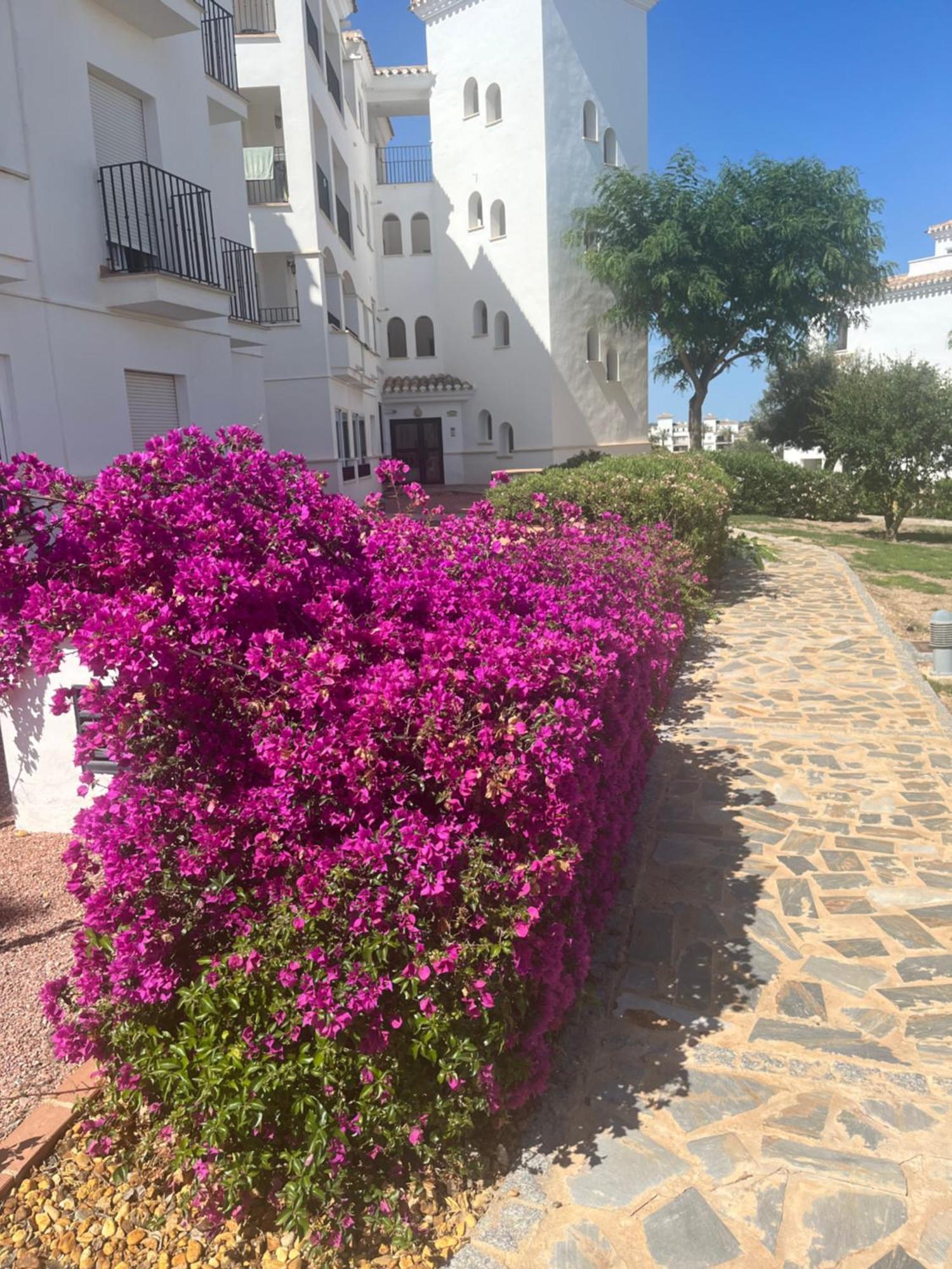 La Casa Rosita, Hacienda Riquelme Golf Resort Sucina Murcia Kültér fotó